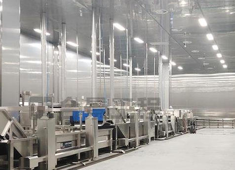 成都和谐天兴食品厂净化工程